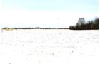 Property photo 4 - LAND AUCTION - 181.22+/- ACRE OFFERED IN 3 TRACTS IN JASPER CO., INDIANA